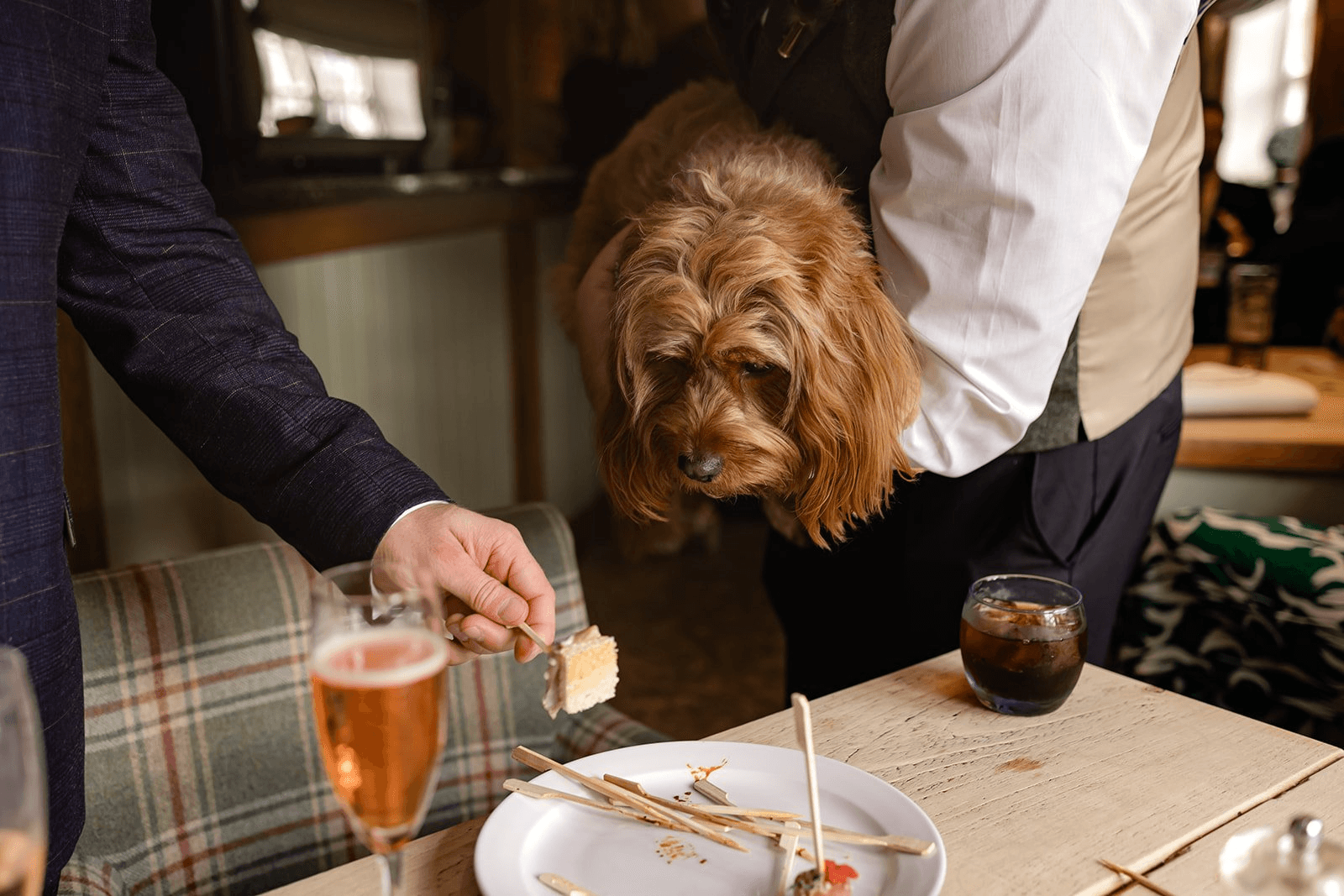 Including Your Dog in the Celebration Without Overstimulating Them