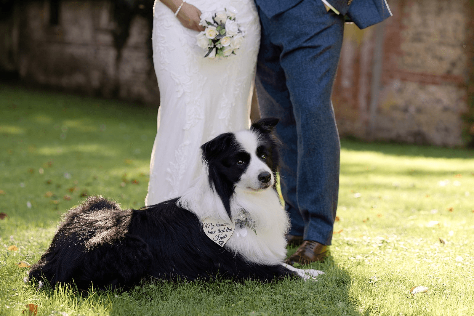 Top Tips For Dogs at Weddings